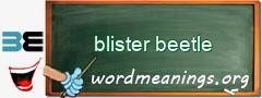 WordMeaning blackboard for blister beetle